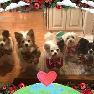 Meet your Posher, Lynn